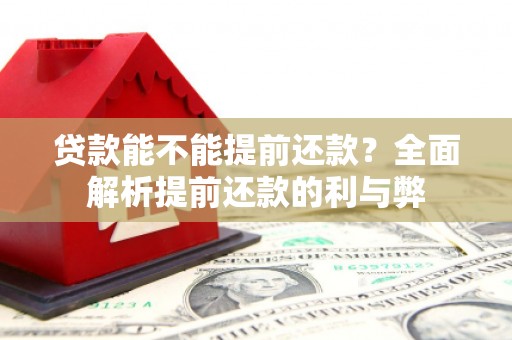 隆回贷款能不能提前还款？全面解析提前还款的利与弊