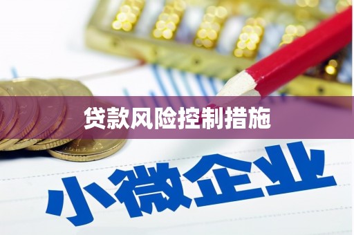 隆回贷款风险控制措施