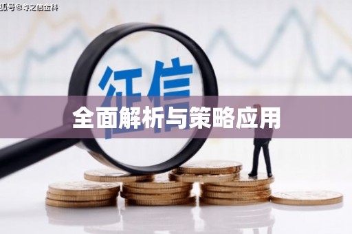 隆回全面解析与策略应用