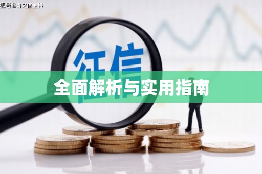 隆回全面解析与实用指南