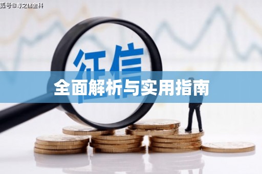 隆回全面解析与实用指南