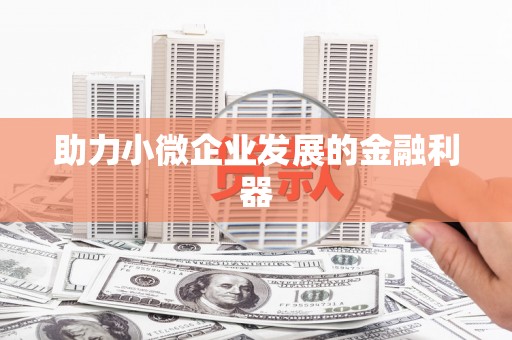 隆回助力小微企业发展的金融利器