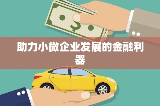 隆回助力小微企业发展的金融利器