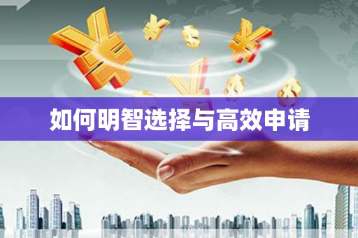 隆回如何明智选择与高效申请