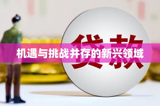 隆回机遇与挑战并存的新兴领域