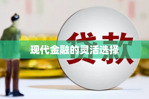 隆回现代金融的灵活选择