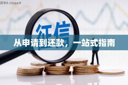 隆回从申请到还款，一站式指南