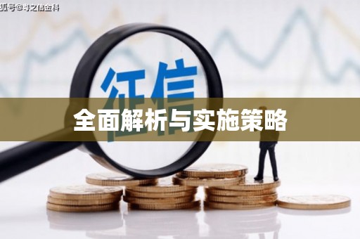 隆回全面解析与实施策略