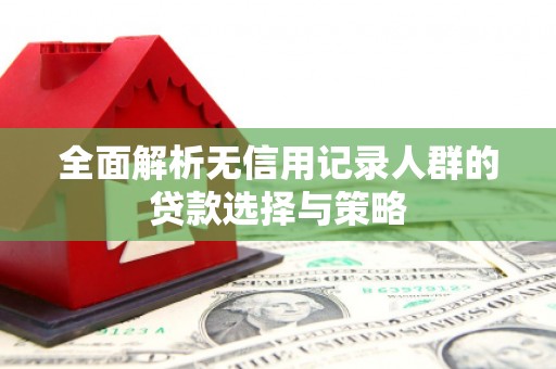隆回全面解析无信用记录人群的贷款选择与策略