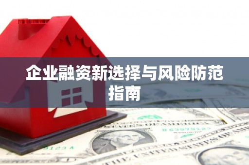 隆回企业融资新选择与风险防范指南