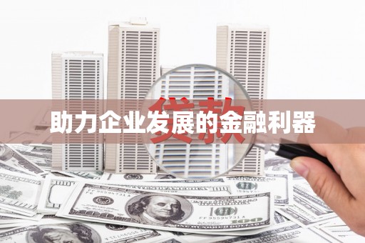 隆回助力企业发展的金融利器