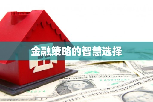 隆回金融策略的智慧选择