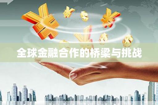 隆回全球金融合作的桥梁与挑战