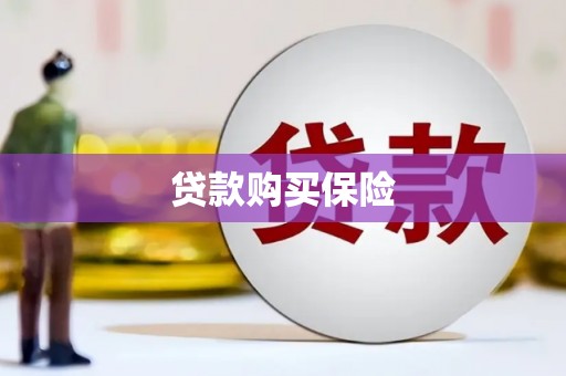 隆回贷款购买保险