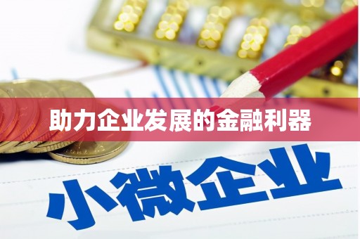 隆回助力企业发展的金融利器