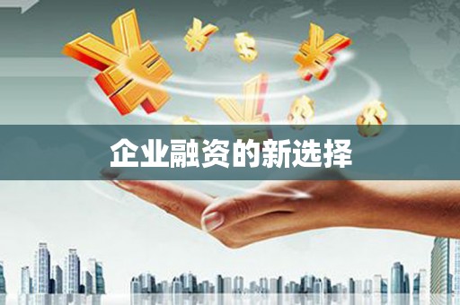 隆回企业融资的新选择