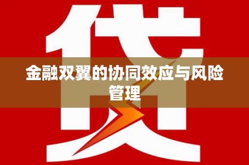 隆回金融双翼的协同效应与风险管理