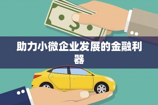 隆回助力小微企业发展的金融利器