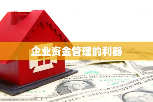 隆回企业资金管理的利器