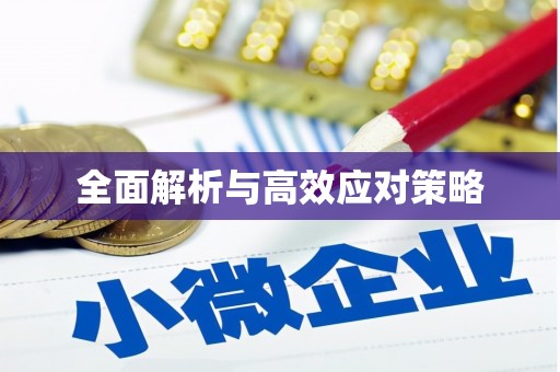 隆回全面解析与高效应对策略