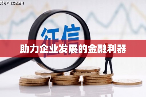 隆回助力企业发展的金融利器