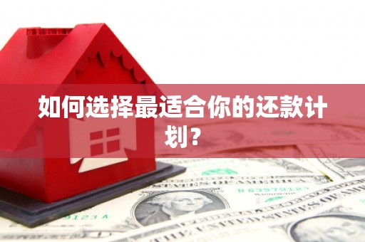 隆回如何选择最适合你的还款计划？