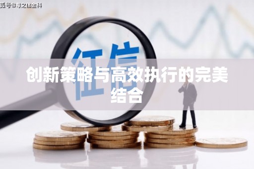 隆回创新策略与高效执行的完美结合
