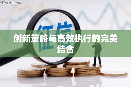 隆回创新策略与高效执行的完美结合