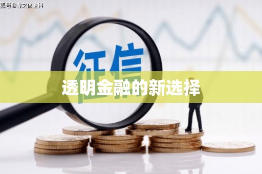 隆回透明金融的新选择