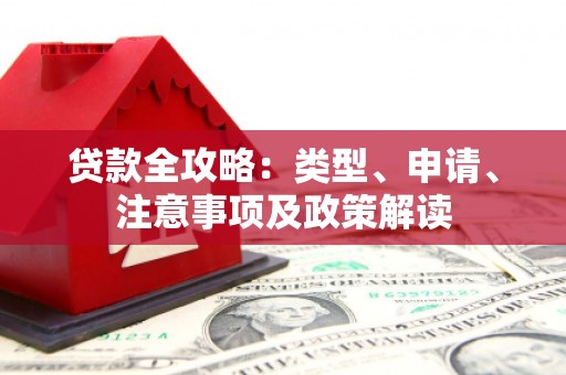 隆回贷款全攻略：类型、申请、注意事项及政策解读