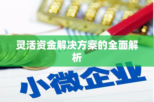 隆回灵活资金解决方案的全面解析