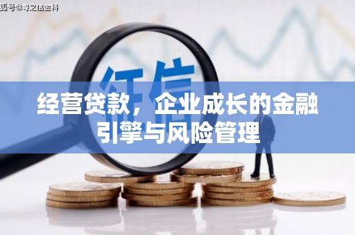 隆回经营贷款，企业成长的金融引擎与风险管理
