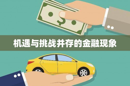 隆回机遇与挑战并存的金融现象
