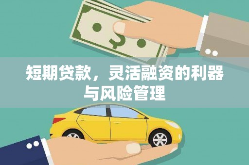 隆回短期贷款，灵活融资的利器与风险管理