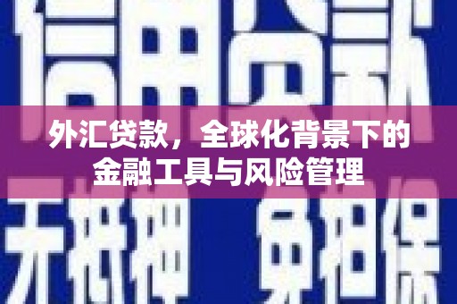 隆回外汇贷款，全球化背景下的金融工具与风险管理