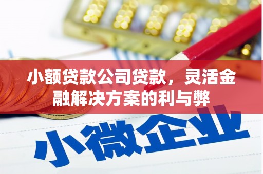 隆回小额贷款公司贷款，灵活金融解决方案的利与弊