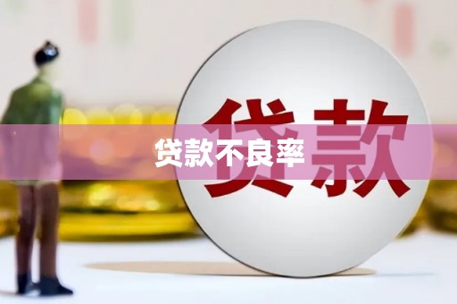隆回贷款不良率