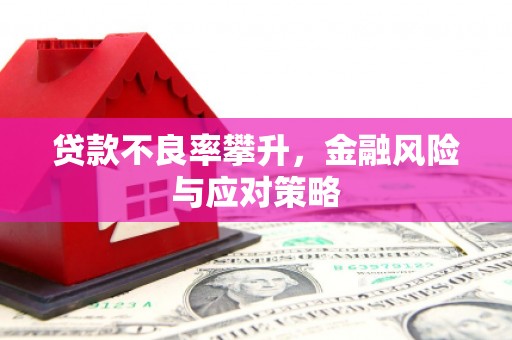 隆回贷款不良率攀升，金融风险与应对策略