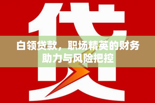 隆回白领贷款，职场精英的财务助力与风险把控