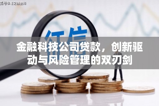 隆回金融科技公司贷款，创新驱动与风险管理的双刃剑